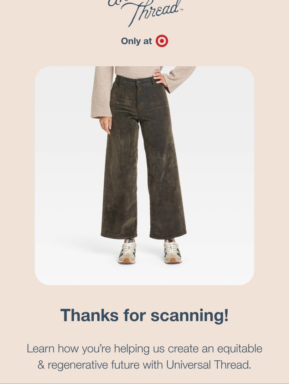 Universal Thread Wide Leg Pants in Dark Brown
